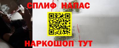 гидропоника Будённовск