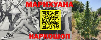 гидропоника Будённовск