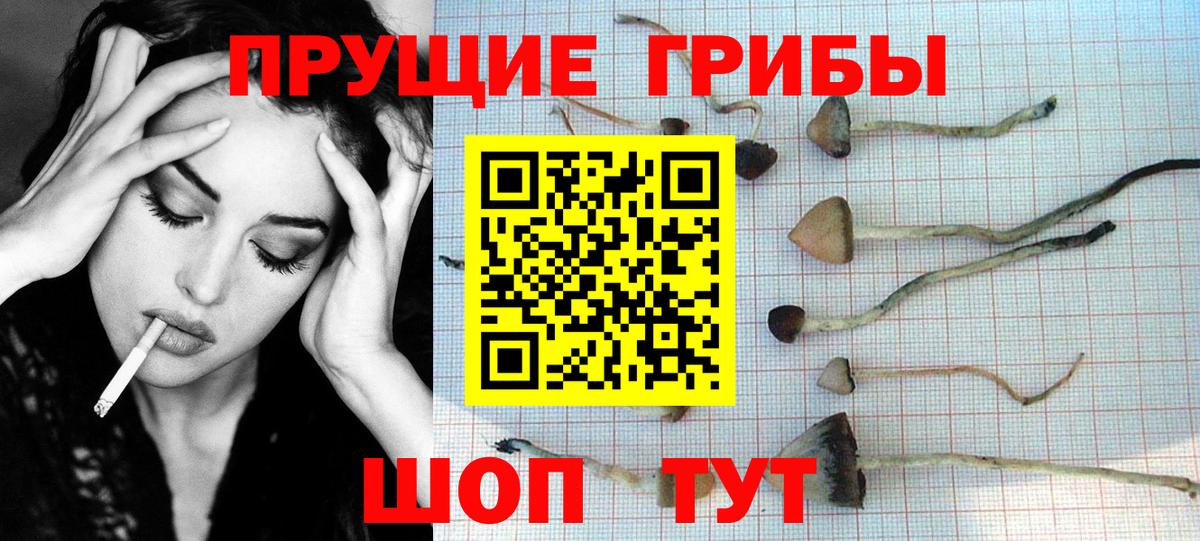 Советский  Псилоцибиновые грибы мицелий  Вход с VPN  Псилоцибиновые грибы Magic Shrooms 