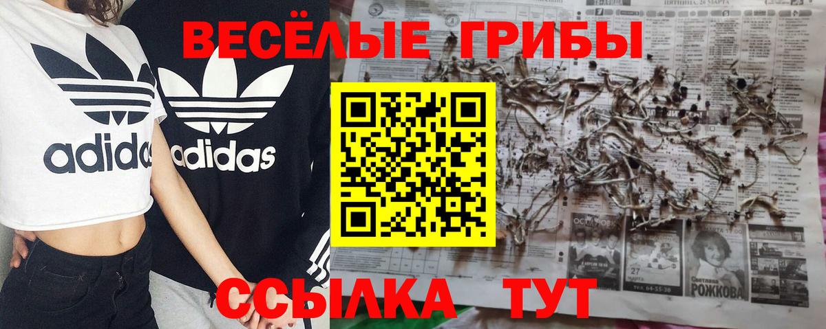 Псилоцибиновые грибы Psilocybine cubensis Советский